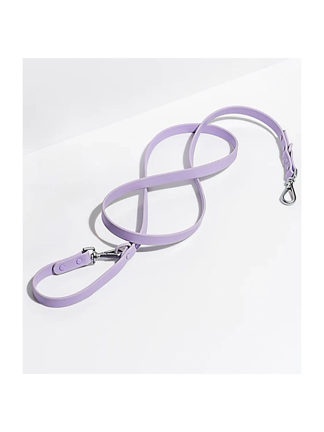 Wild one Dog Leash