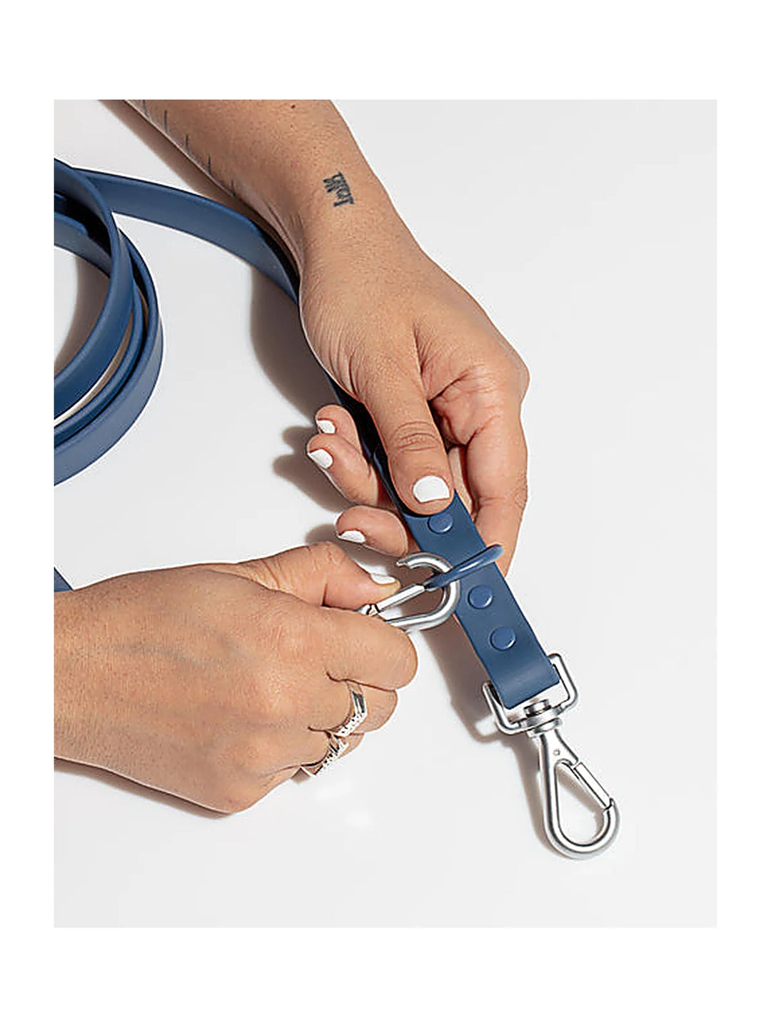 Wild one Dog Leash