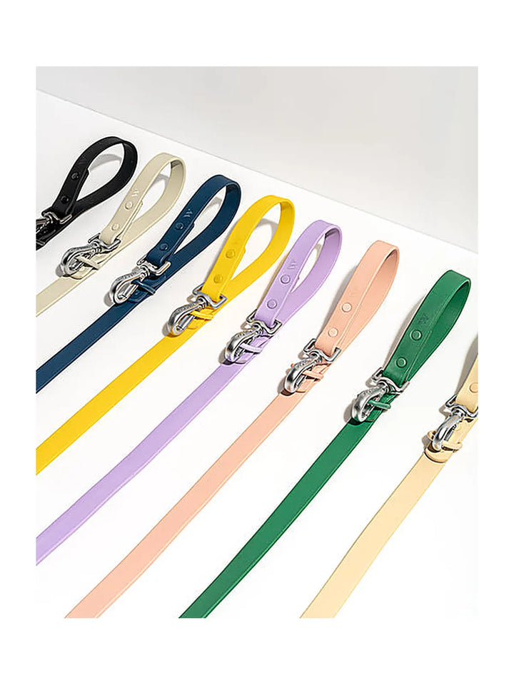 Wild one Dog Leash