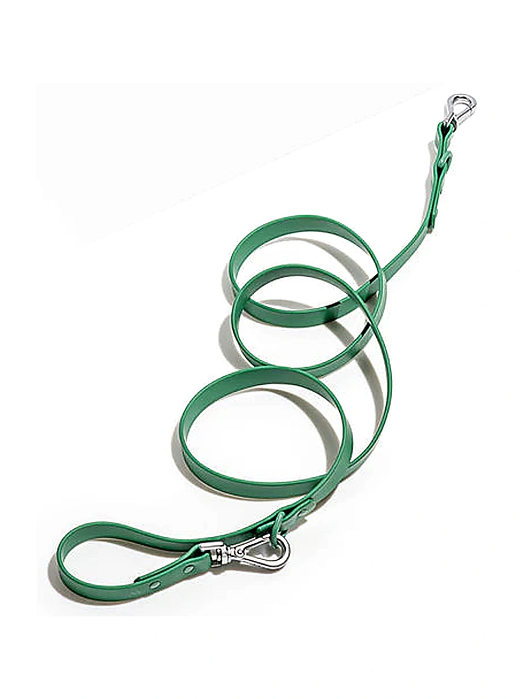 Wild one Dog Leash