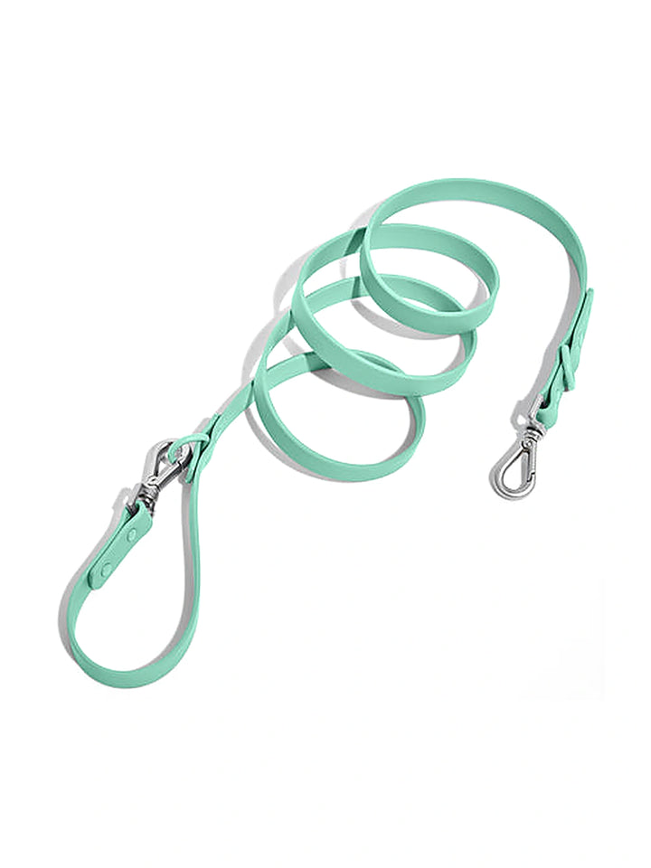 Wild one Dog Leash