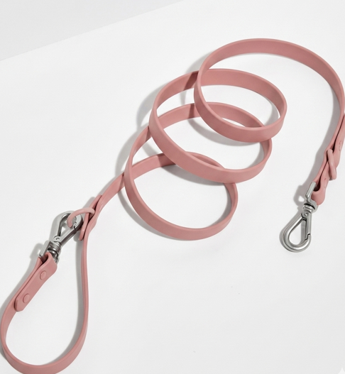 Wild one Dog Leash