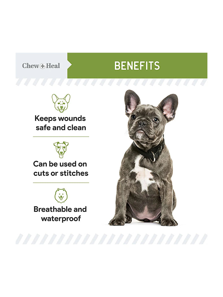 Liquid Bandage for Dogs 8oz