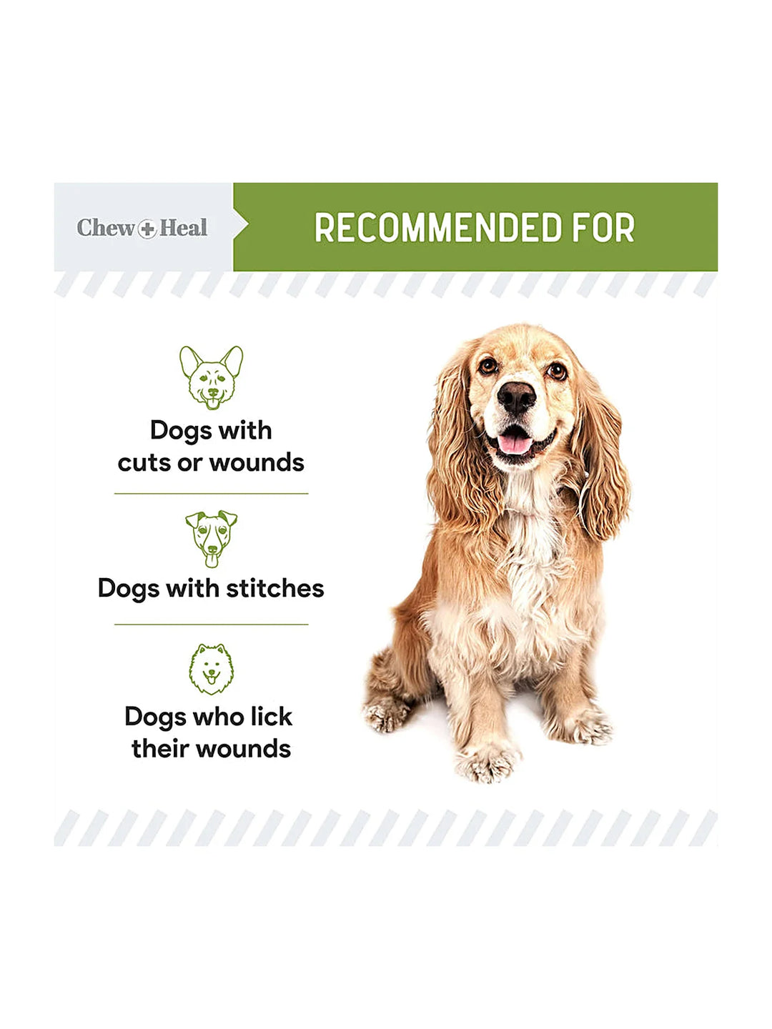 Liquid Bandage for Dogs 8oz