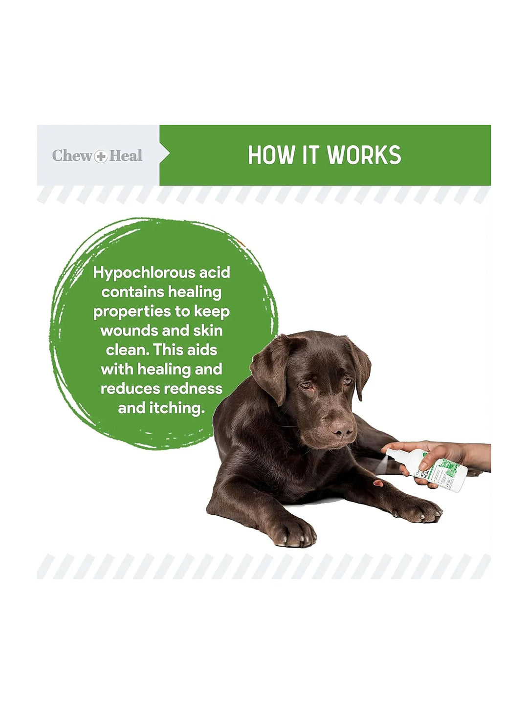 Healing Aid Spray for Dogs & Cats