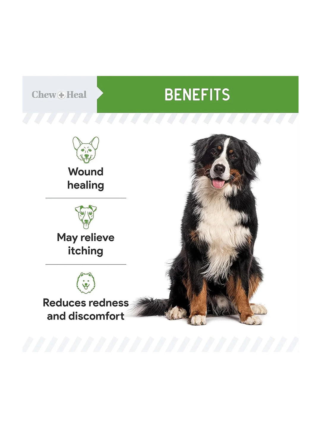 Healing Aid Spray for Dogs & Cats