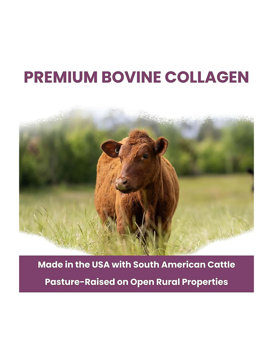 Liquid Collagen Supplement for Dogs – 4 oz Pump Bottle