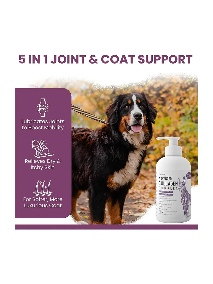 Liquid Collagen Supplement for Dogs – 4 oz Pump Bottle