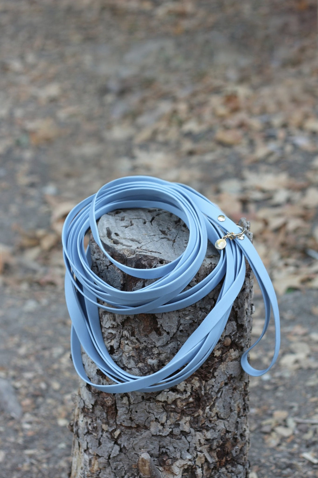 Waterproof 30-Ft Dog Leash