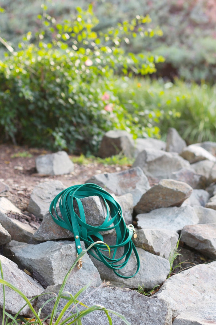 Waterproof 30-Ft Dog Leash