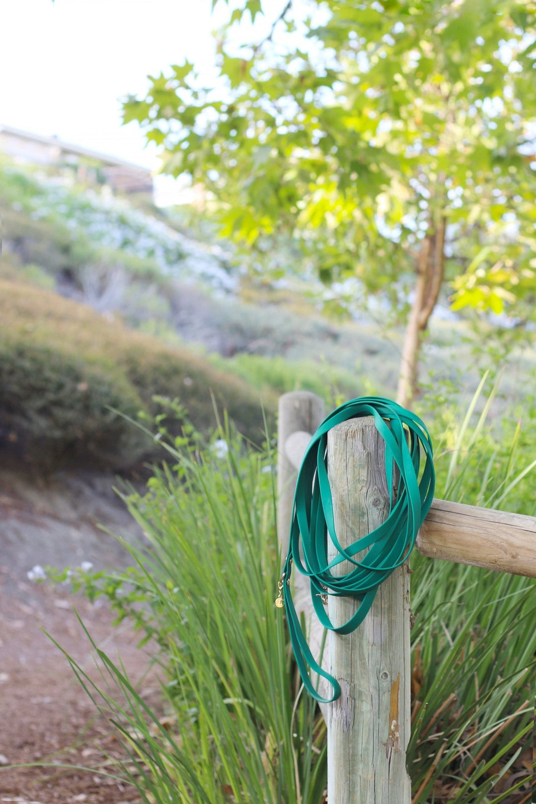 Waterproof 30-Ft Dog Leash