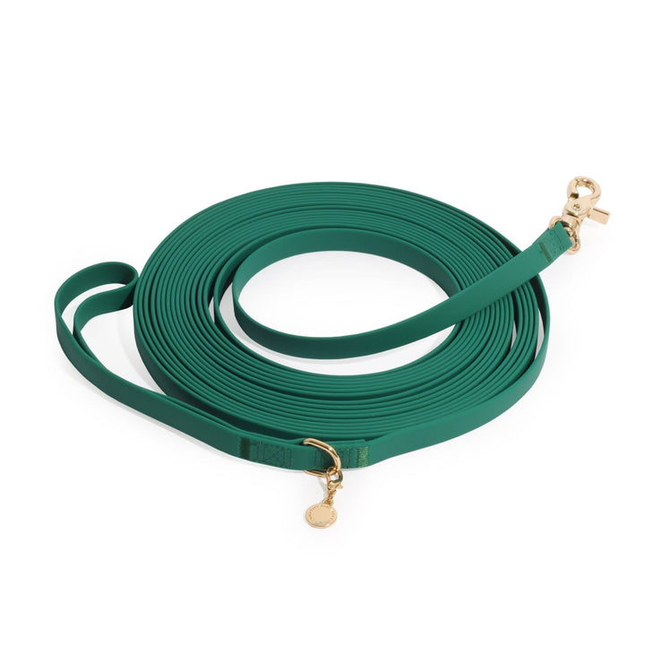 Waterproof 30-Ft Dog Leash