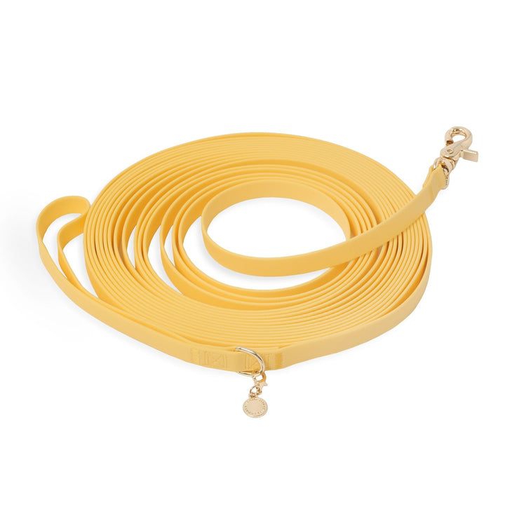 Waterproof 30-Ft Dog Leash