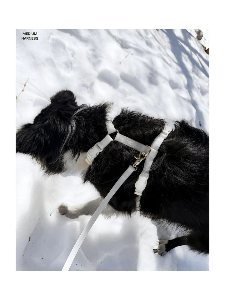 Lunar Glow Cloud Lite Dog Harness