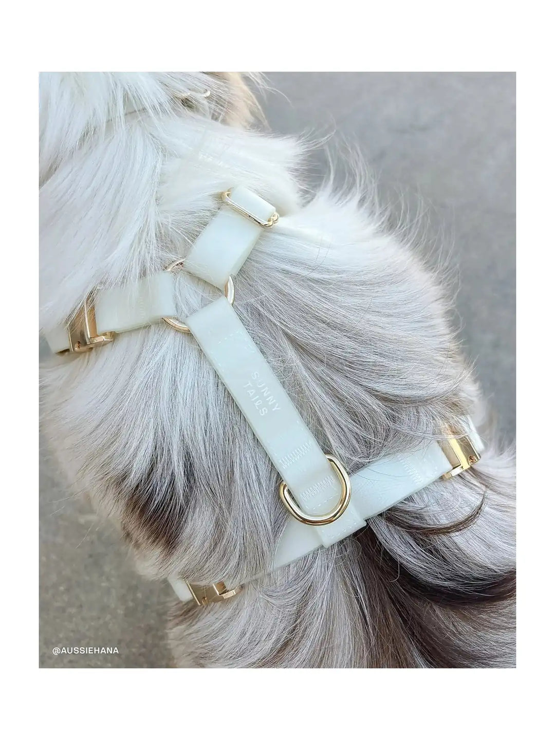 Lunar Glow Cloud Lite Dog Harness