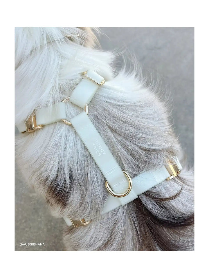 Lunar Glow Cloud Lite Dog Harness