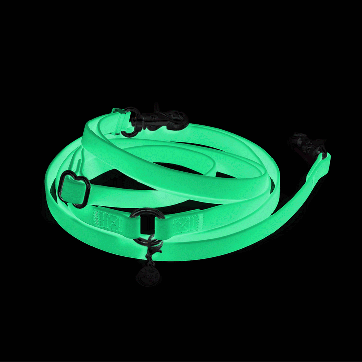 4-IN-1 Convertible Hands Free Cloud Dog Leash (8.5 FT)