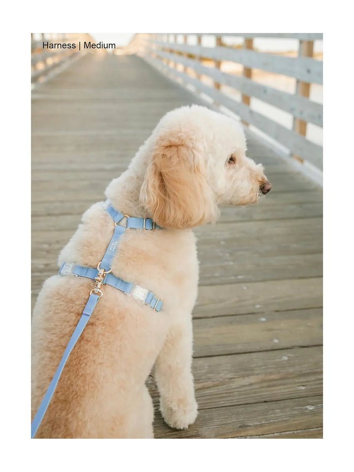 Malibu Blue Cloud Lite Dog Harness