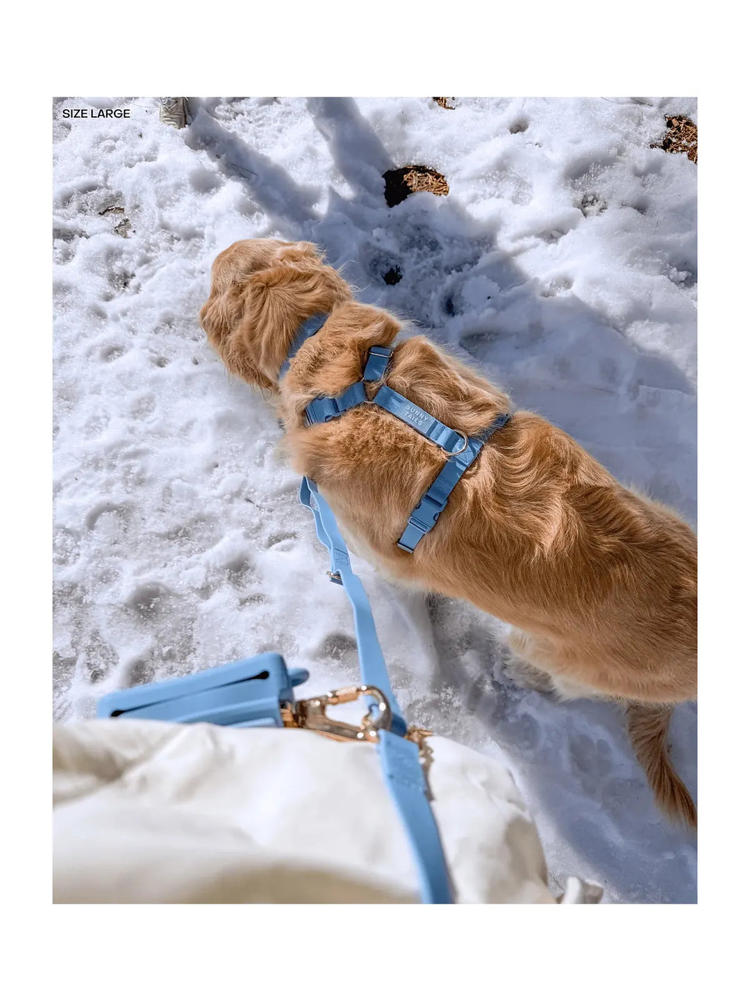 Malibu Blue Cloud Lite Dog Harness