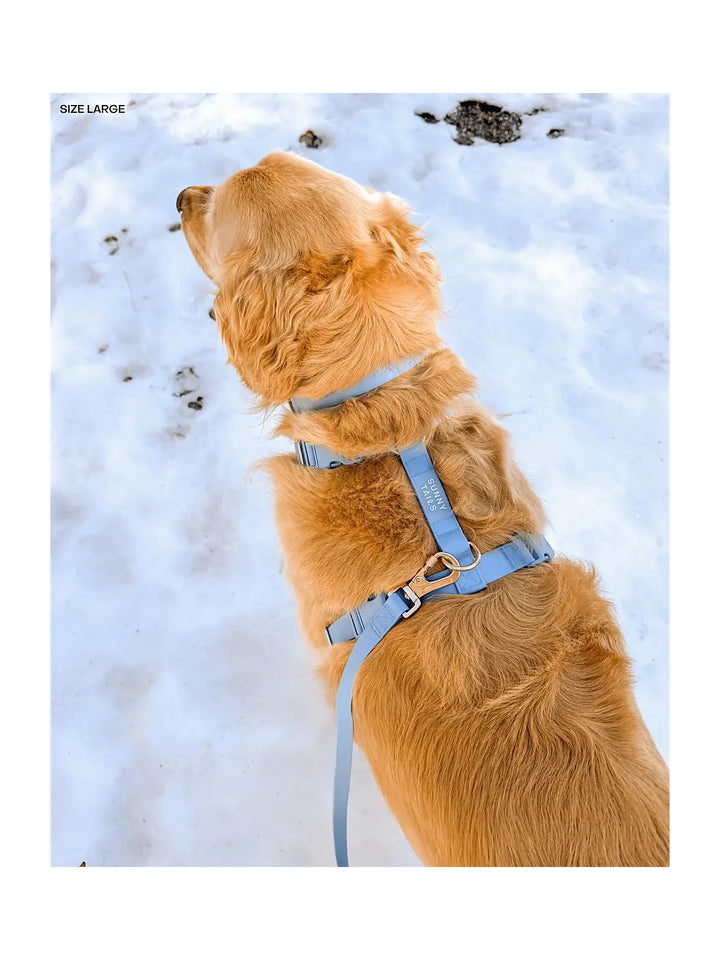 Malibu Blue Cloud Lite Dog Harness