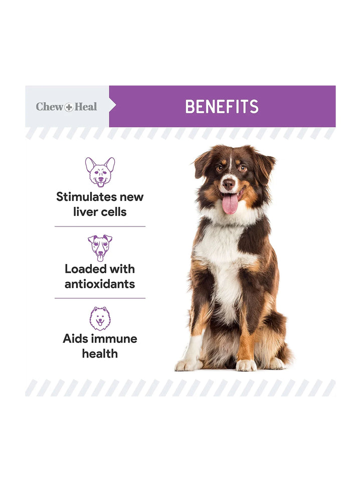 Milk Thistle Tincture with Moringa Oil & Salmon Oil Liquid Kidney & Liver Health Supplement for Dogs(2oz)