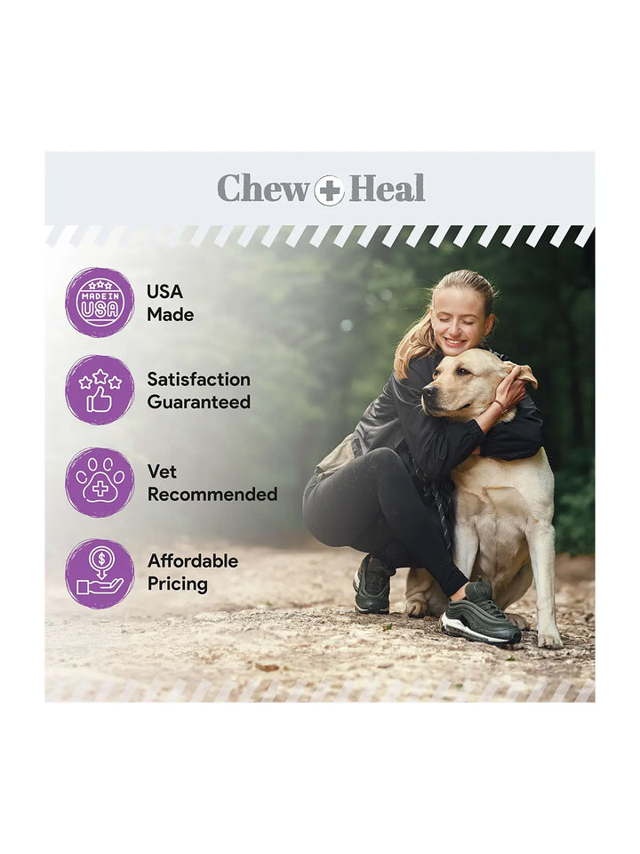 Milk Thistle Tincture with Moringa Oil & Salmon Oil Liquid Kidney & Liver Health Supplement for Dogs(4oz)