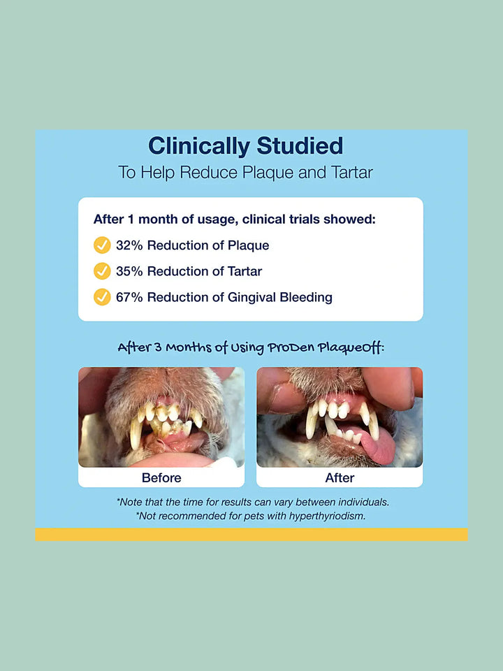Mini Dental Care Bones - Peanut Butter & Bacon