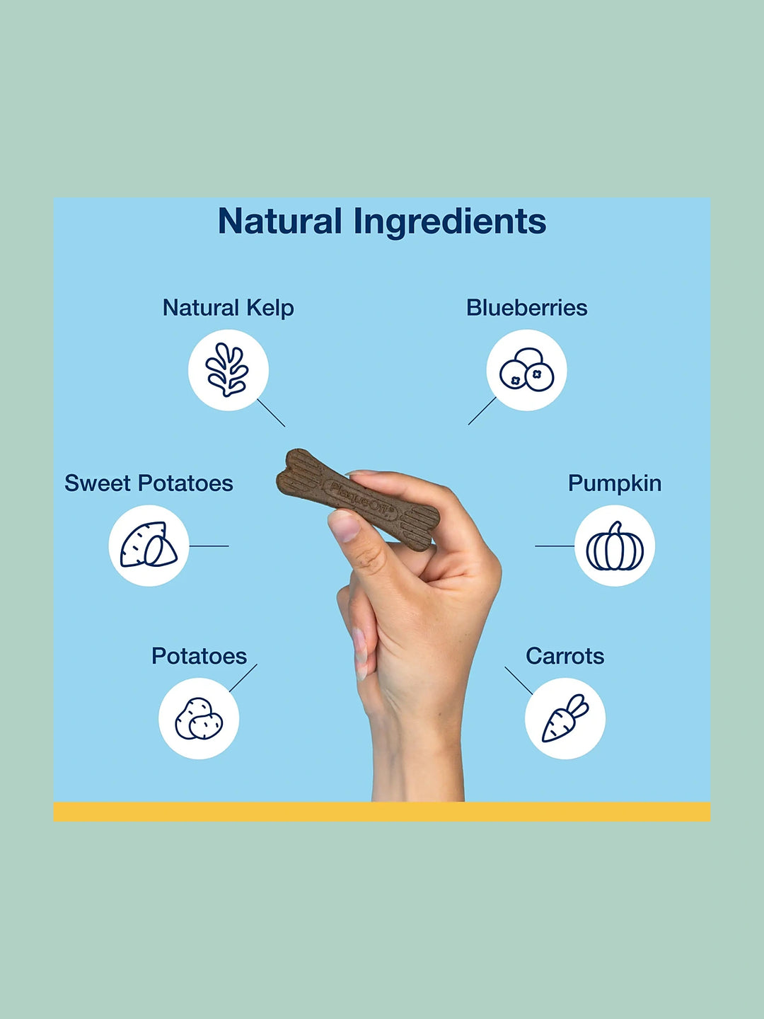 Mini Dental Care Bones - Vegetable Fusion & Blueberry Flavor
