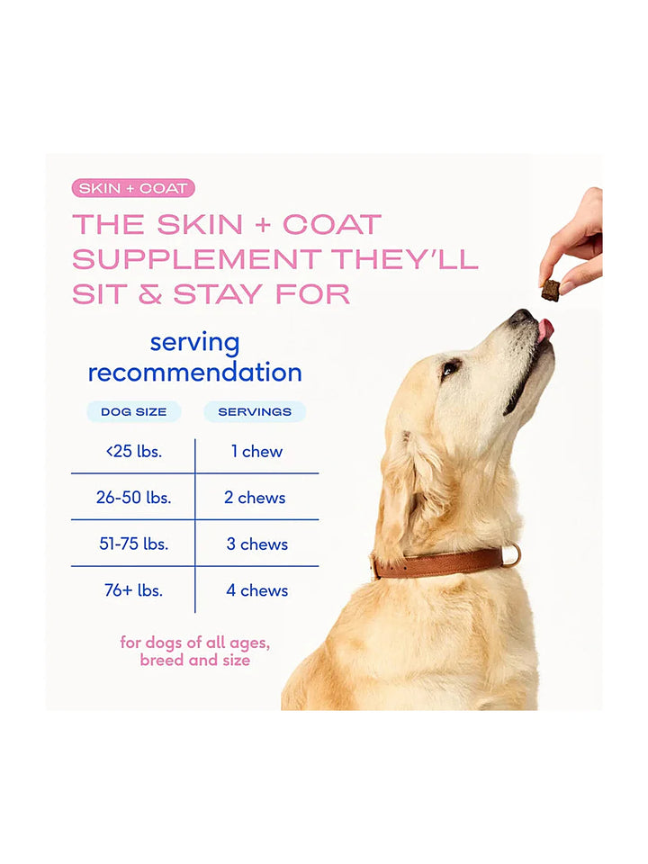 Native Pet Omega Skin and Coat Chews for Dogs