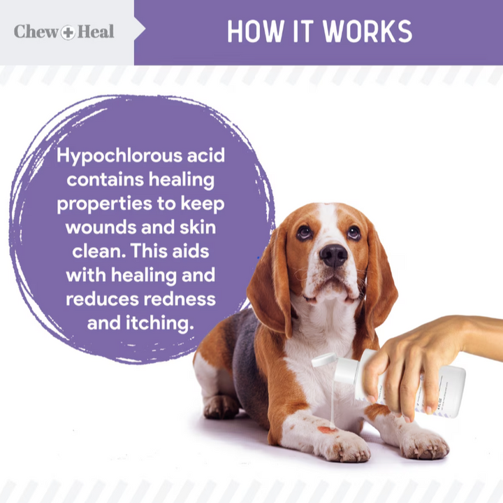 Chew + Heal Antimicrobial Hot Spots & Skin Infection Hypochlorous Acid Lotion for Dogs & Cats Wound Care