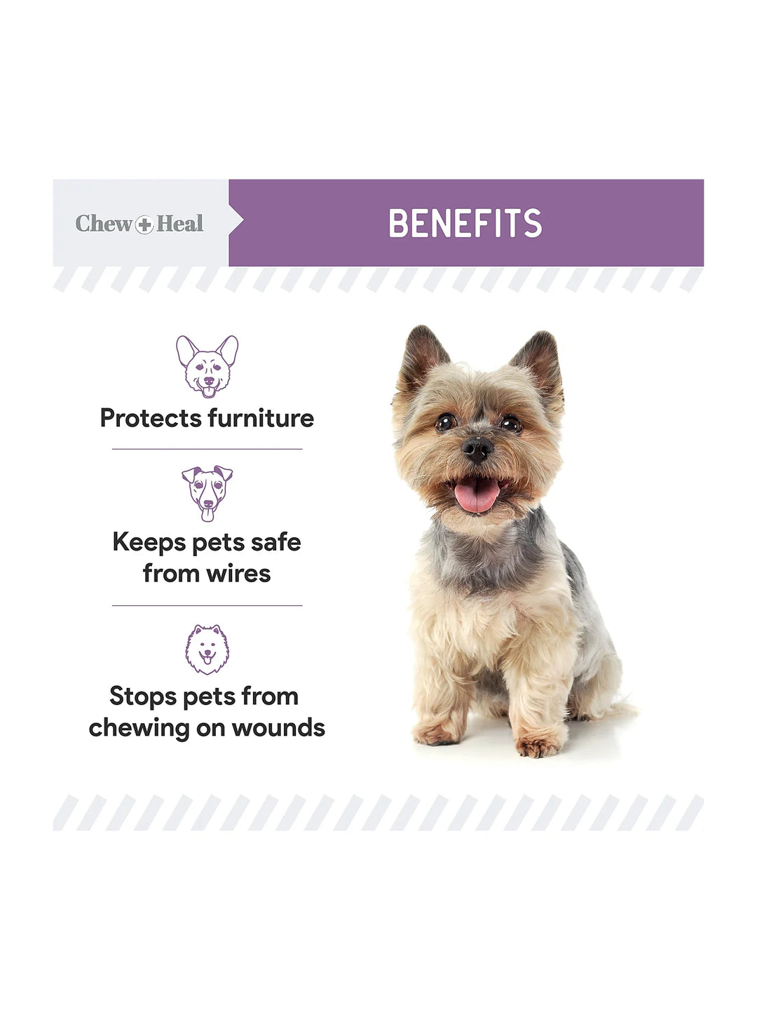 No Chew Dog & Cat Spray 8oz