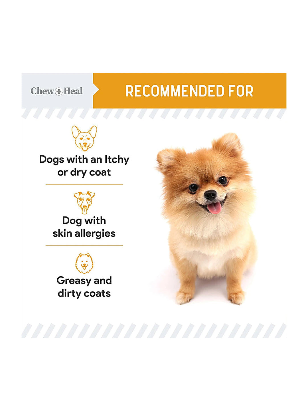 Norwegian Salmon Oil Skin & Coat Supplement for Dogs & Cats(32oz)