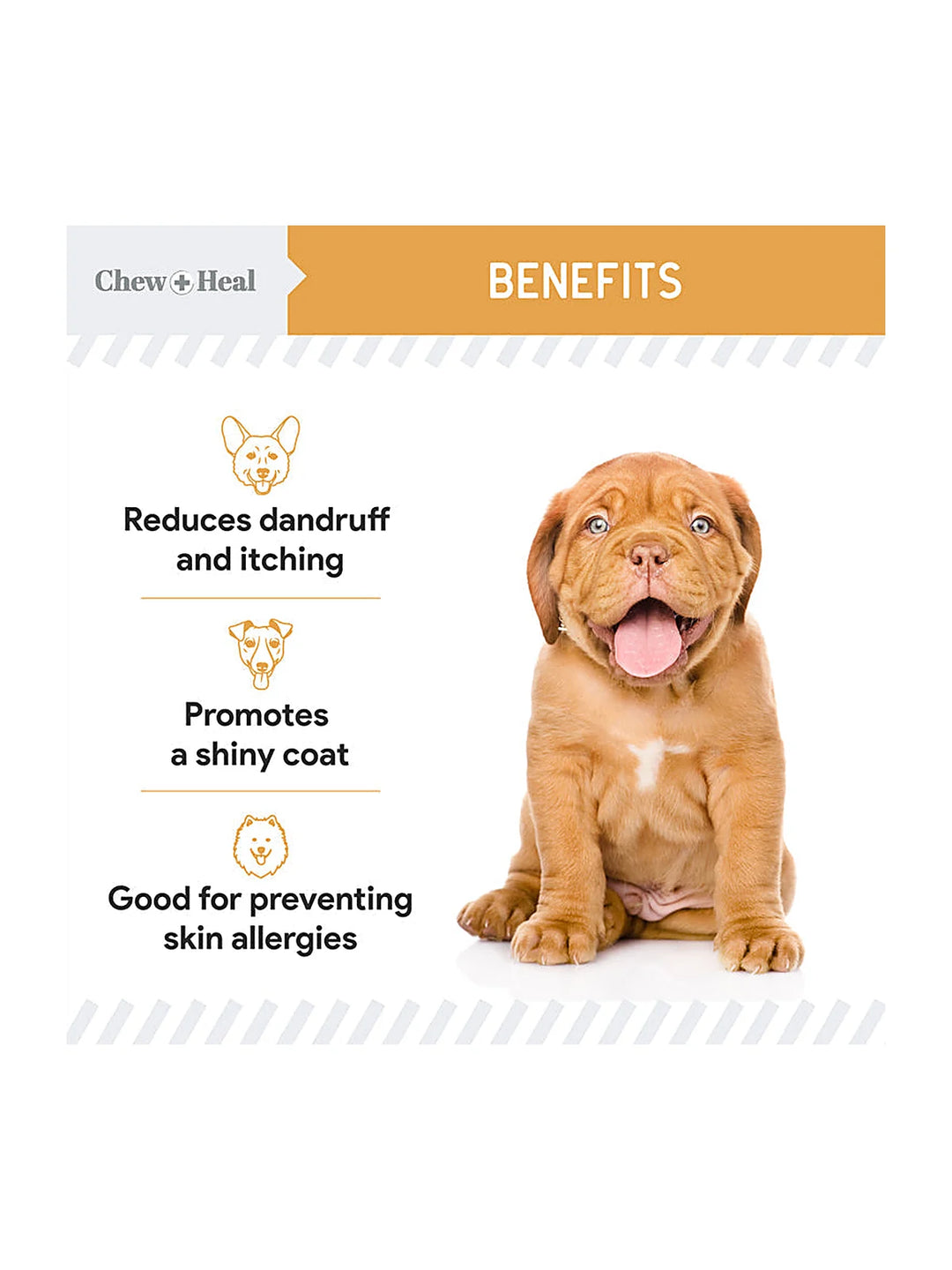 Omega Skin + Coat Dog Supplement