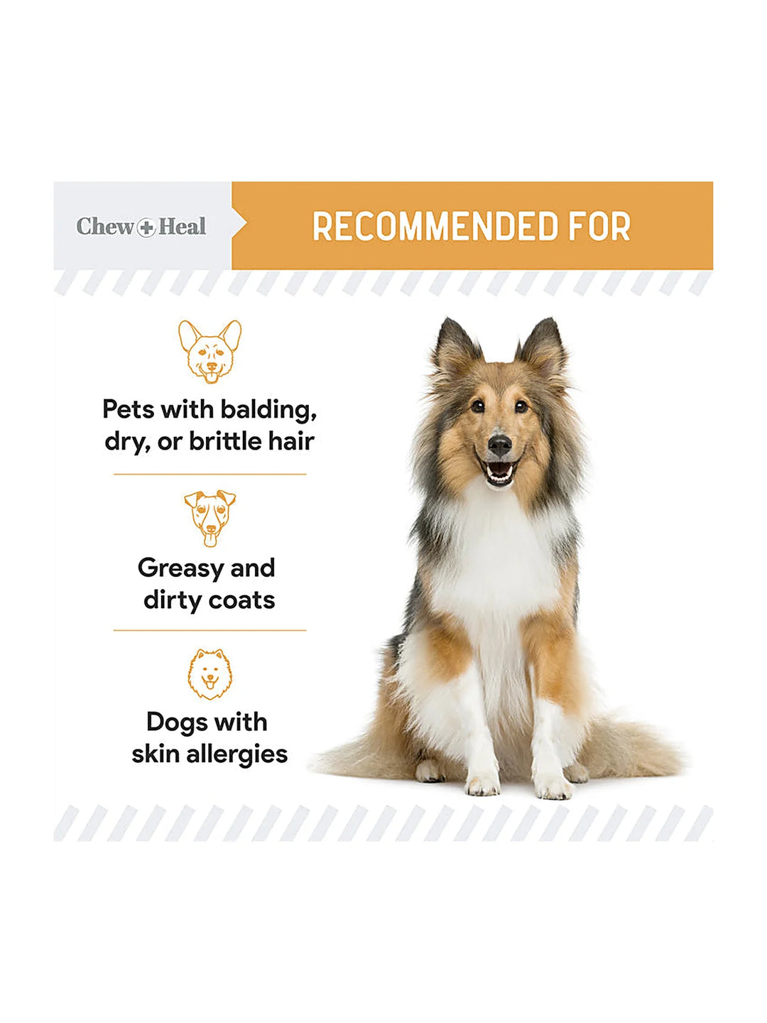 Omega Skin + Coat Dog Supplement