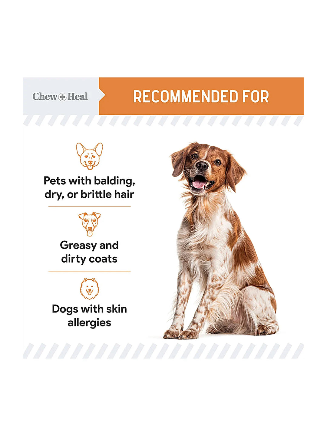 Mini Wild-Caught Omega-3 Soft gels Skin & Coat Supplement for Puppies