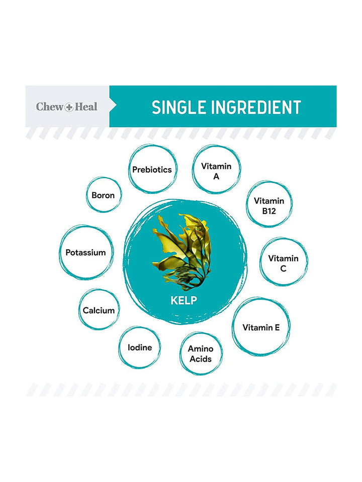 Organic Kelp Marine Superfood Granules Dental Supplement for Dogs