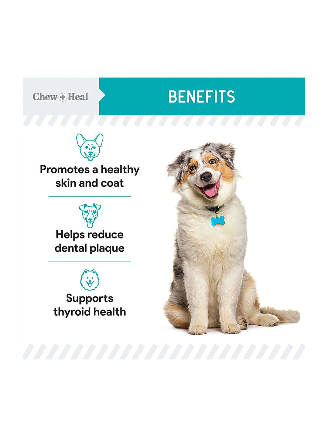 Organic Kelp Marine Superfood Granules Dental Supplement for Dogs