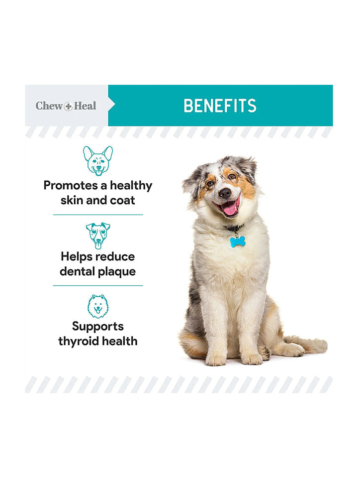 Organic Kelp Marine Superfood Granules Dental Supplement for Dogs