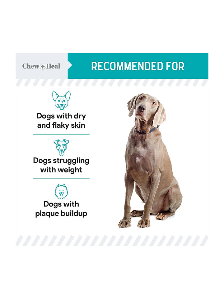 Organic Kelp Marine Superfood Granules Dental Supplement for Dogs