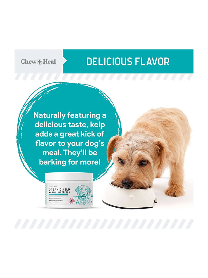 Organic Kelp Marine Superfood Granules Dental Supplement for Dogs