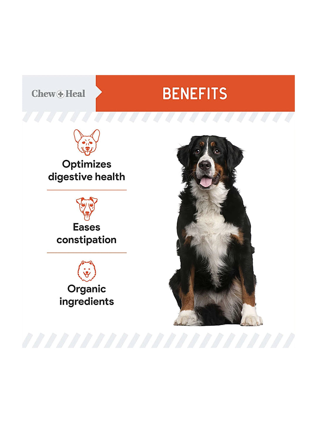 Organic Pumpkin Digestive Defense Superfood Blend Powder Digestive Aid Supplement for Dogs