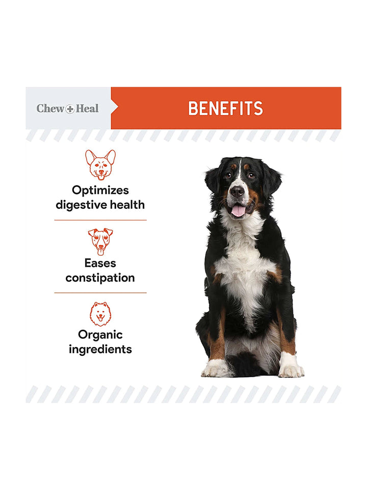 Organic Pumpkin Digestive Defense Superfood Blend Powder Digestive Aid Supplement for Dogs