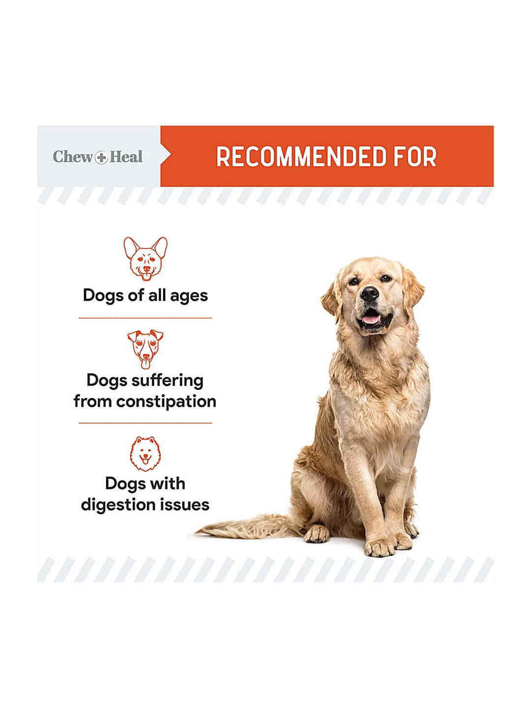Organic Pumpkin Digestive Defense Superfood Blend Powder Digestive Aid Supplement for Dogs