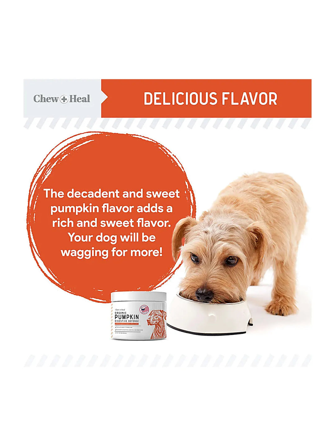 Organic Pumpkin Digestive Defense Superfood Blend Powder Digestive Aid Supplement for Dogs