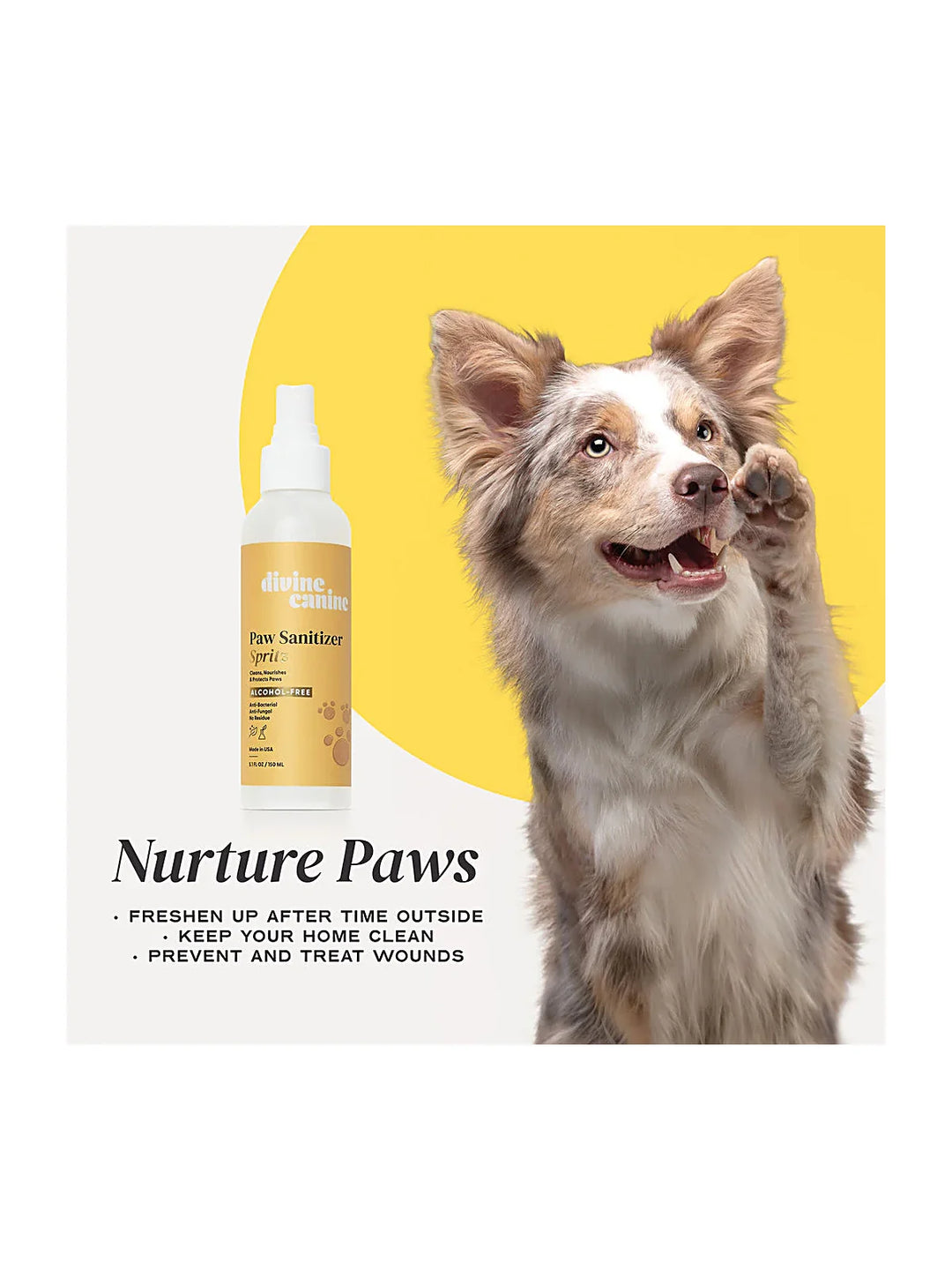 Paw Sanitizer Spritz