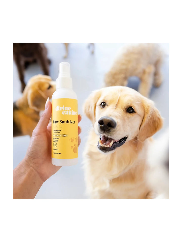 Paw Sanitizer Spritz