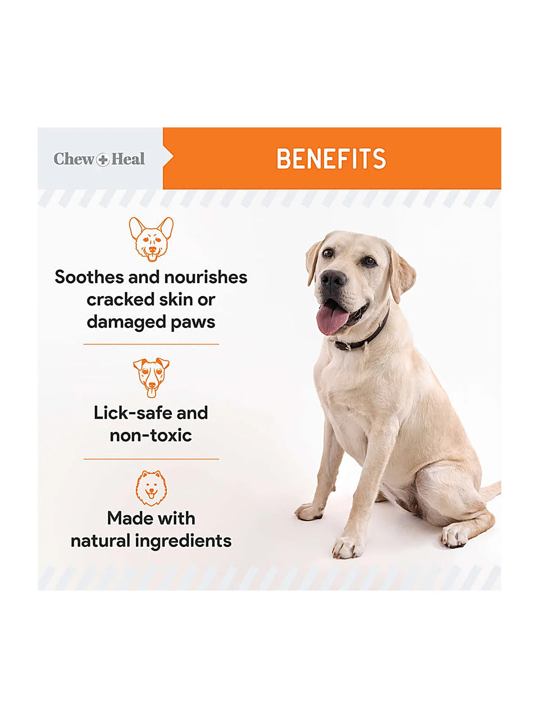 Paw Support Revitalizing Dog Paw Balm