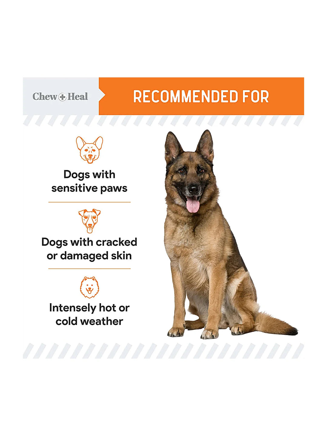 Paw Support Revitalizing Dog Paw Balm