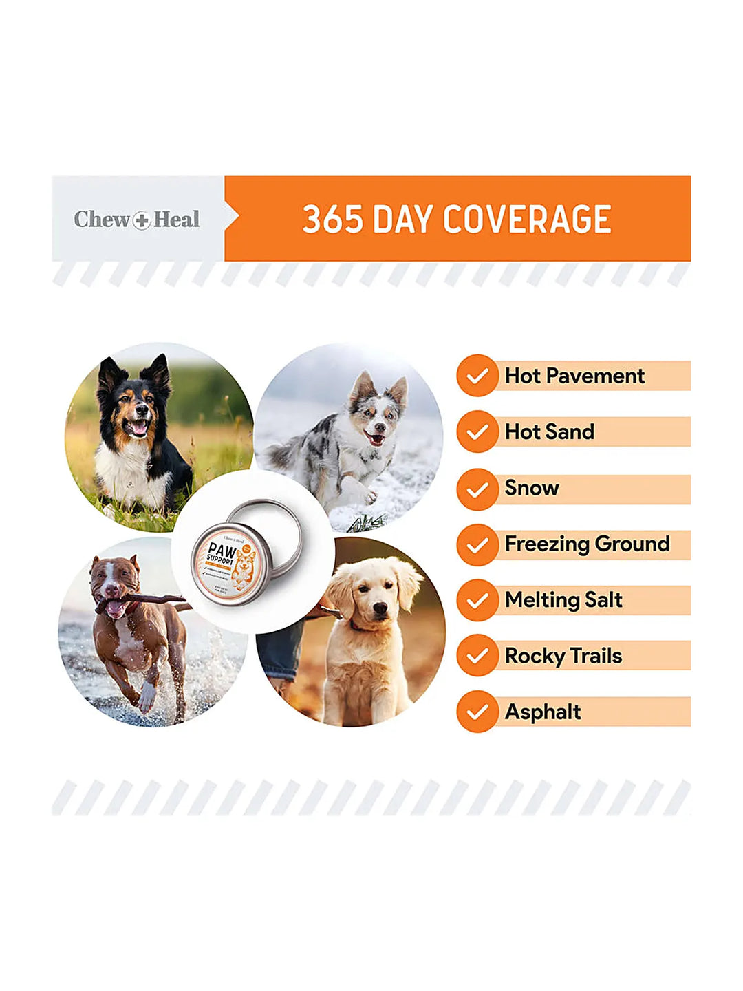 Paw Support Revitalizing Dog Paw Balm