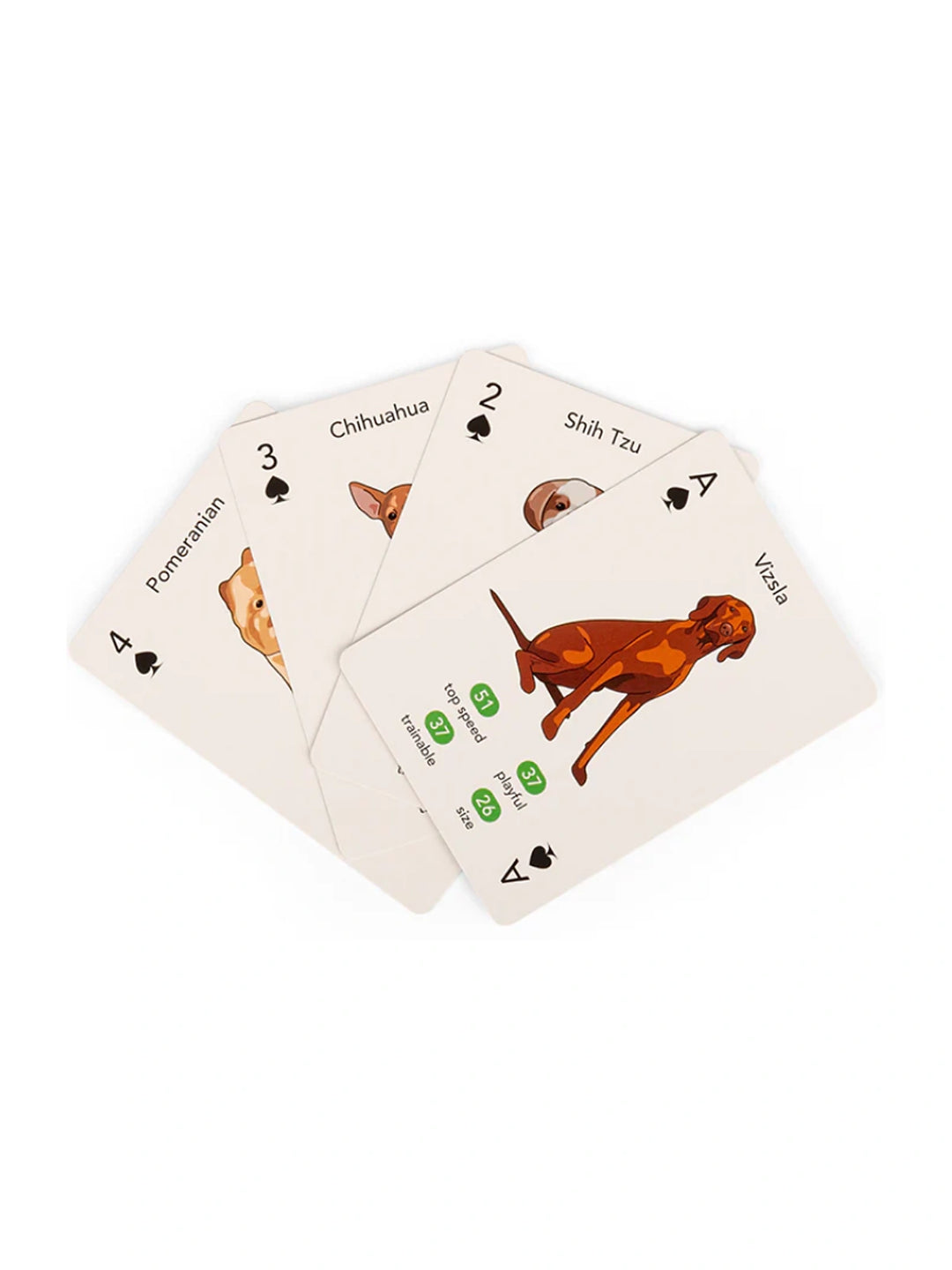 Paws & Play Playing Cards